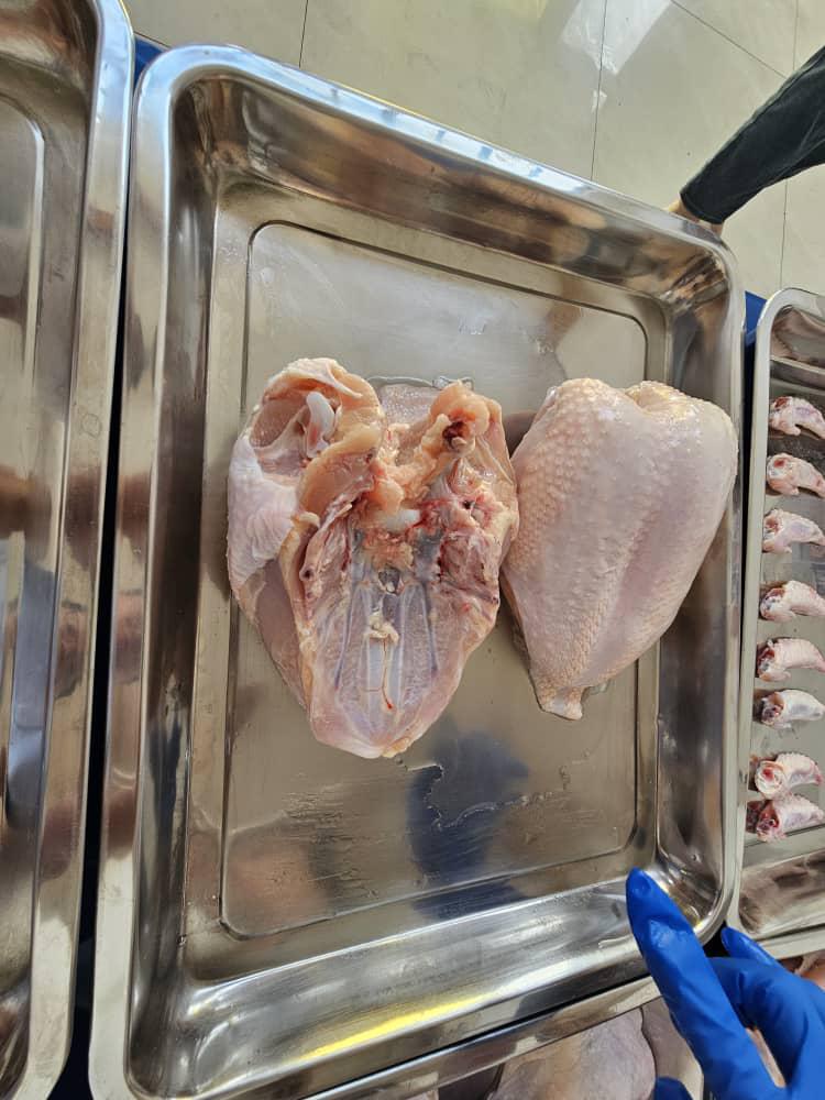 صدور دجاج بالعضم